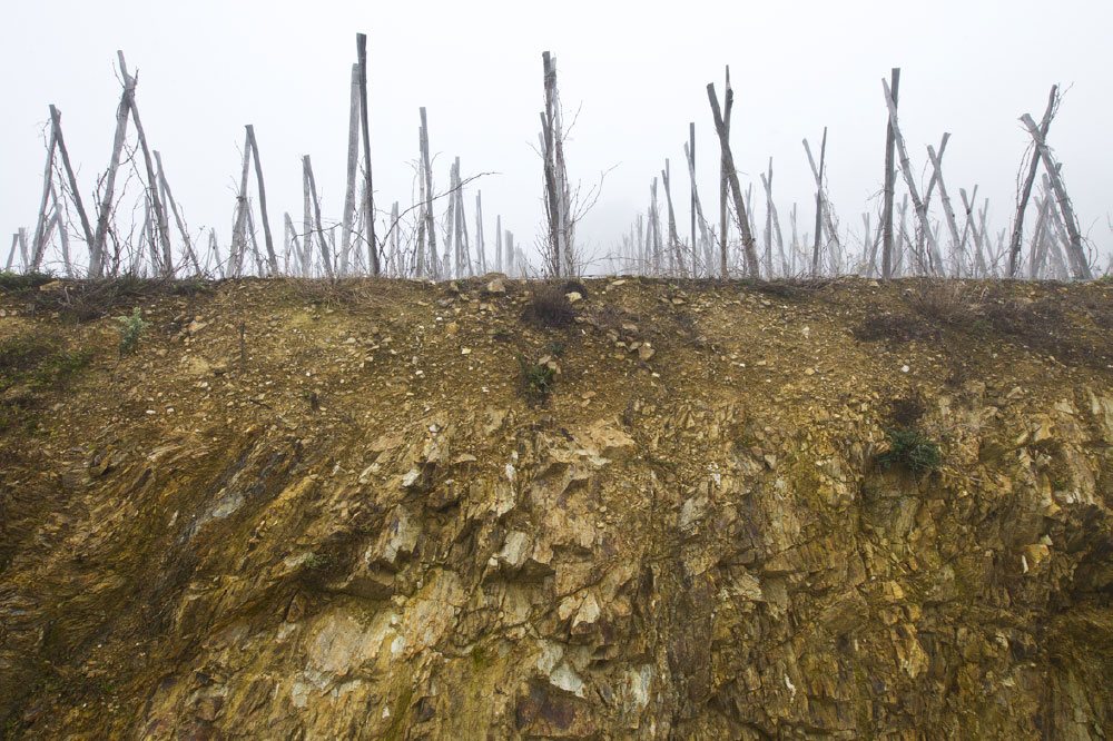 vins vallée du rhône